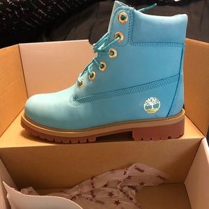 Timberland 6” 40 Below Villa x Wale Giftbox